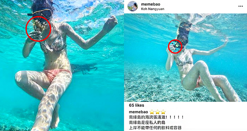 นักท่องเที่ยวจีน หยิบประการังขึ้นถ่ายรูปใต้น้ำ พอคนไทยเตือน อ้างครูฝึกดำน้ำพาทำ!?