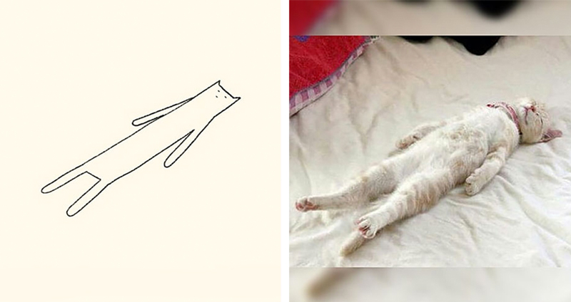 ภาพวาดแมวสไตล์โคตรเรียบง่าย แต่ออกมาน่ารักและเหมือนของจริงด้วยนะเออ!!