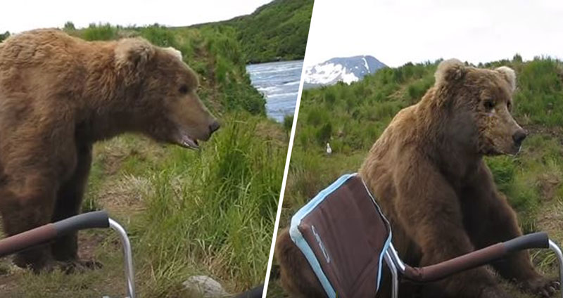เหลือเชื่อ!! ‘หมีสีน้ำตาล’ เดินมานั่งข้างหนุ่มที่พักผ่อนอยู่ริมแม่น้ำ ราวกับเป็นเพื่อนกัน