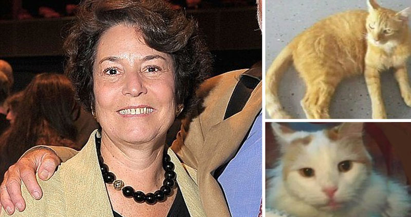 หญิงกลัวแมวลำบาก ทำพินัยกรรมมอบเงินกว่า 9 ล้านบาท ให้กับแมว 2 ตัวที่เธอเลี้ยงไว้