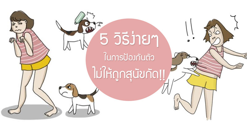 เมื่อถูกหมาเห่า ผู้เชี่ยวชาญแนะ 5 วิธีง่ายๆ ในการป้องกันตัวไม่ให้ถูกสุนัขกัด