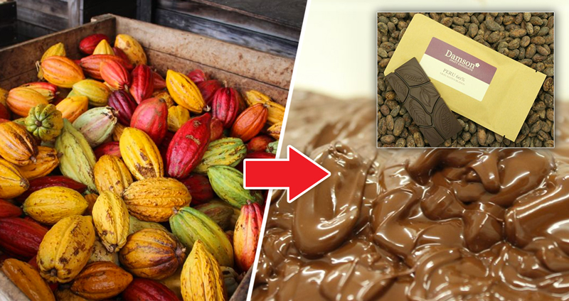 เผยกระบวนการทำ “ช็อกโกแลต” จากเมล็ดโกโก้จนกลายเป็นขนมที่ทานกันทุกวันนี้…