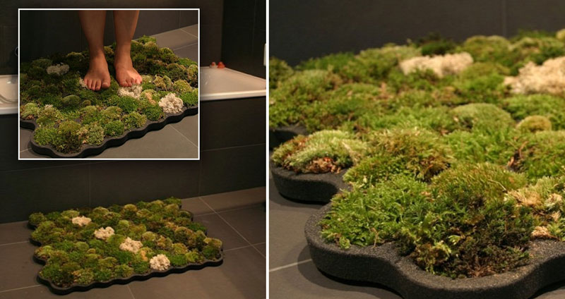 ดีไซเนอร์สวิตเซอร์แลนด์ออกแบบ “พรมเช็ดเท้ามอสส์” แค่อาบน้ำบ่อยๆ ก็ช่วยให้เติบโตได้