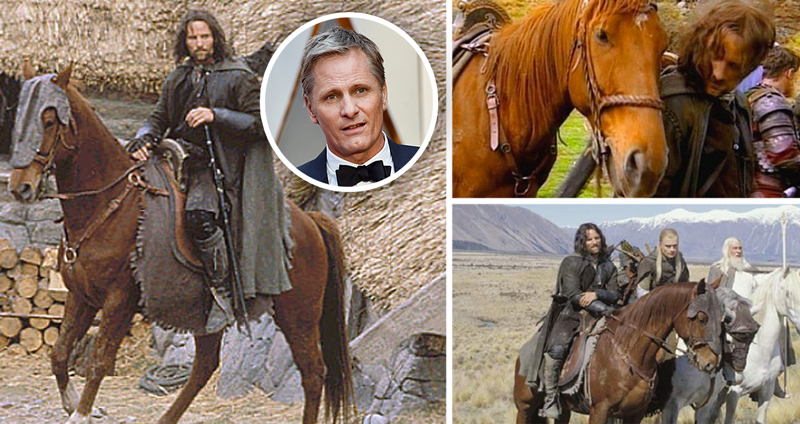 วิกโก้ มอร์เตนเซน เผย…ซื้อม้าที่แสดงในหนัง The Lord of The Rings กลับไปเลี้ยงที่บ้านด้วย!!