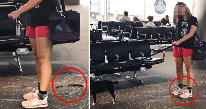 หญิงสาวไม่ยอมเก็บ “อึ” สุนัขของเธอในสนามบิน พร้อมชูนิ้วกลางให้คนถ่ายคลิป