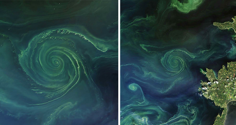 ตะลึง!! ภาพสาหร่ายสีเขียวแกมน้ำเงินกว่า 70,000 ตร.กม. ที่ฟินแลนด์ นักวิทย์ชี้ แบบนี้ไม่ดีแน่