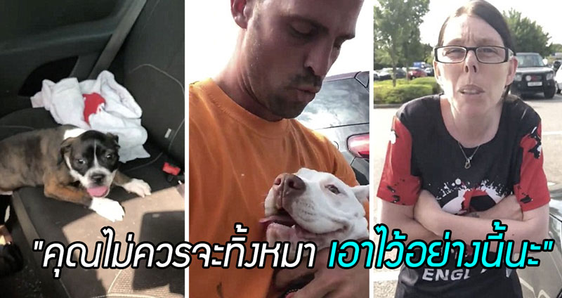 หนุ่มช่วยหมาที่ถูกขังในรถกลางวันที่อากาศร้อนจัด แต่กลับโดนเจ้าของหมาด่าซะอย่างนั้น…