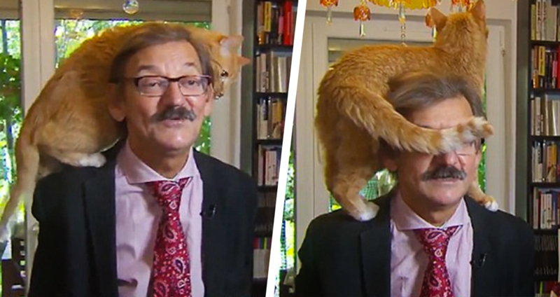สื่อโปแลนด์สัมภาษณ์นักวิชาการ โดยมีแมวเดินมาขัดจังหวะตลอดเวลา…