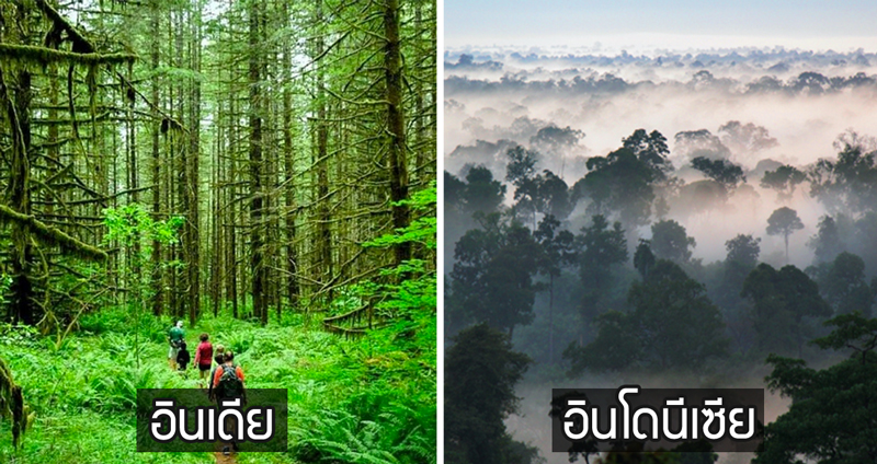 ใครว่าฤดูฝนไม่น่าเที่ยว!! พบกับ “6 ป่าฝน” จากเอเชีย ที่น่าออกไปสัมผัส