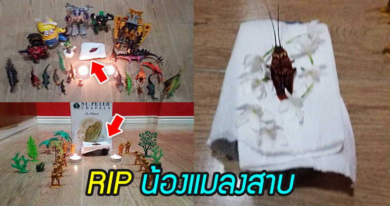 หนุ่มฟิลิปปินส์จัดงานศพสุดอลังการให้ “แมลงสาบ” ตัวหนึ่งที่มาตายในบ้านเขา