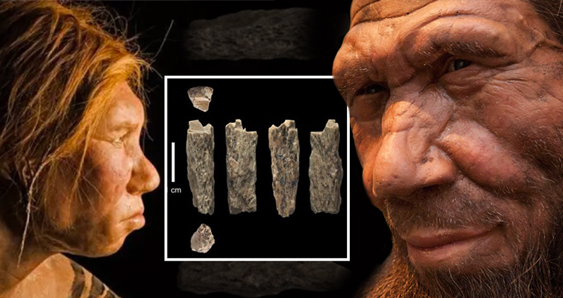 นักวิทย์พบ หลักฐานสาวลูกครึ่งคนแรกของโลก เป็นมนุษย์โบราณอายุกว่า 50,000 ปี