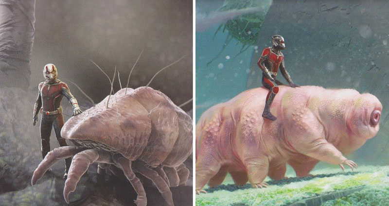 Concept Art เท่ๆ จาก Ant-Man and The Wasp นึกว่าส่องกล้องจุลทรรศน์อยู่นะเนี่ย!