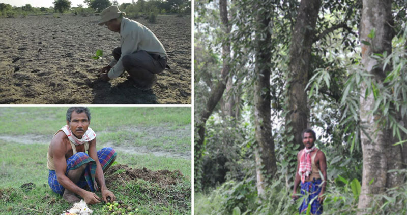 ‘Jadav Payeng’ ชายผู้ปลูกต้นไม้ทุกวันติดต่อกันกว่า 40 ปี เปลี่ยนจากเกาะแล้งเป็นป่าสมบูรณ์!!