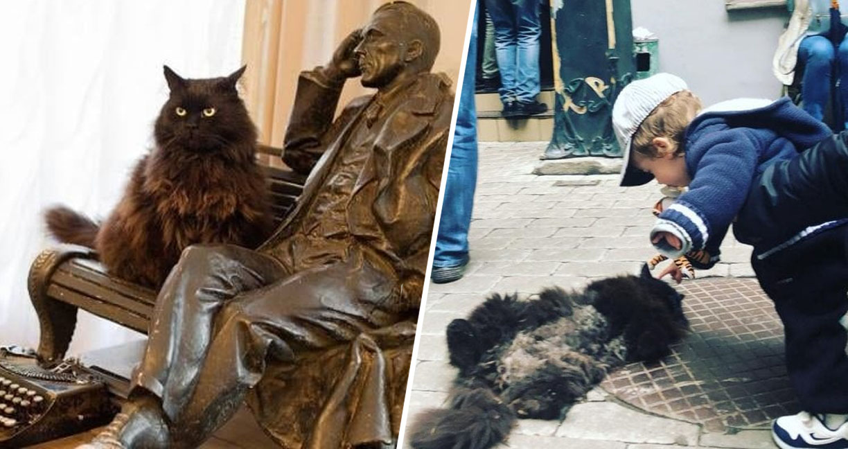 ‘แมวเซเลบ’ ในรัสเซีย ถูกลักพาตัว ทาสจึงช่วยกันตามหา จนขโมยต้องรีบนำมาคืน