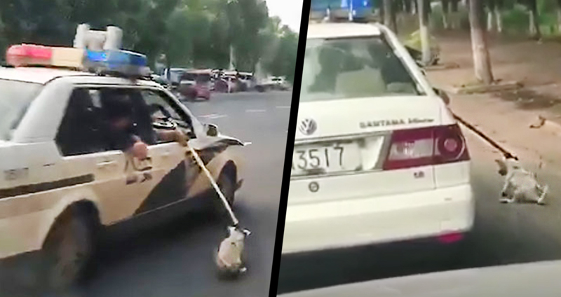 ทารุณกรรมสัตว์!? ตำรวจจีนถูกบันทึกภาพ ขับรถลากหมาไปกับถนน ให้เหตุว่า “ไม่มีกรงใส่”