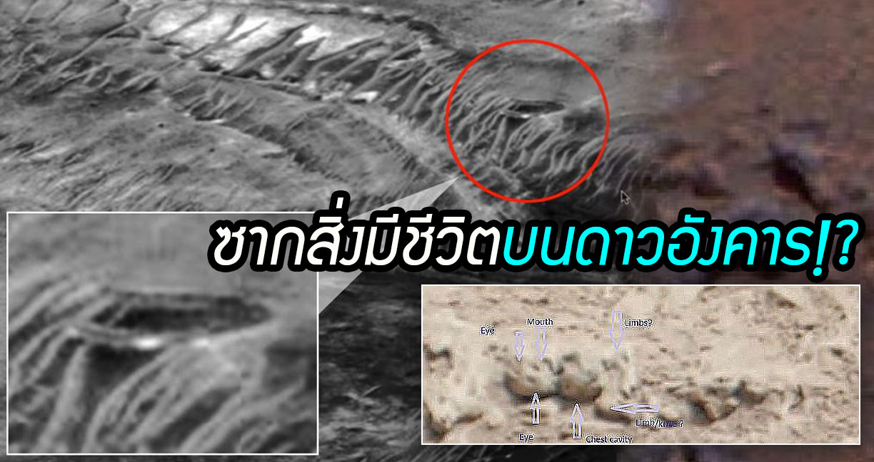 พบ “ร่องรอยสิ่งมีชีวิต” จากภาพถ่ายพื้นผิวดาวอังคาร มีทั้งสิ่งก่อสร้างและซากเอเลี่ยน