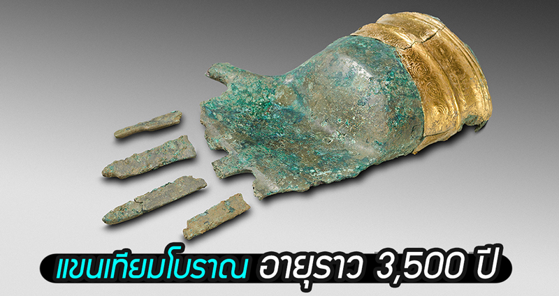 พบแขนเทียมโบราณจากยุคสำริด อายุราว 3,500 ปี เชื่ออาจเคยถูกใช้ในพิธีกรรม