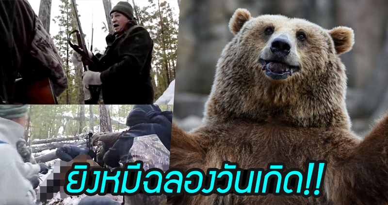 นักการเมืองรัสเซีย ฉลองวันเกิดด้วยใช้ปืนใหม่แกะกล่อง ยิงใส่หมีสีน้ำตาลขณะจำศีลอยู่ในถ้ำ
