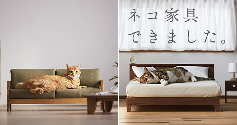 บริษัทญี่ปุ่นสร้าง ‘เฟอร์นิเจอร์ขนาดจิ๋ว’ สำหรับแมวเหมียว เพื่อปรนเปรอนายท่าน