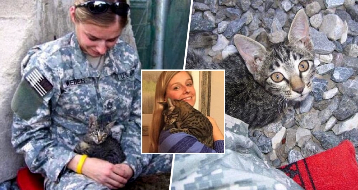 ทหารสาวพบ ‘ลูกแมวป่วย’ ในค่าย เธอจึงดูแลมันเหมือนลูกและรับเลี้ยงมันในที่สุด