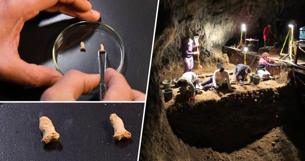 โปแลนด์พบ กระดูกเด็กโบราณอายุราว 115,000 ปี เชื่อเคยถูกกินโดยนกยักษ์มาก่อน