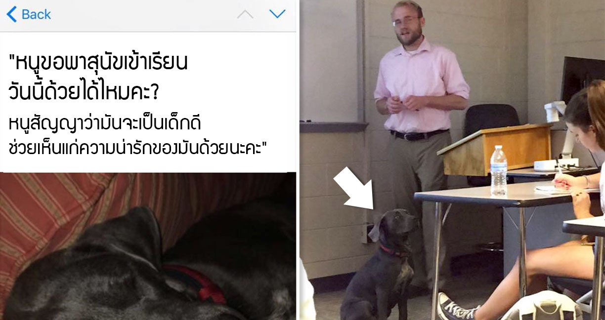 นักเรียขอพาสุนัขมาเรียนด้วยและครูก็ตอบตกลง นุ้งหมาจึงแจกความสดใสตลอดคลาส