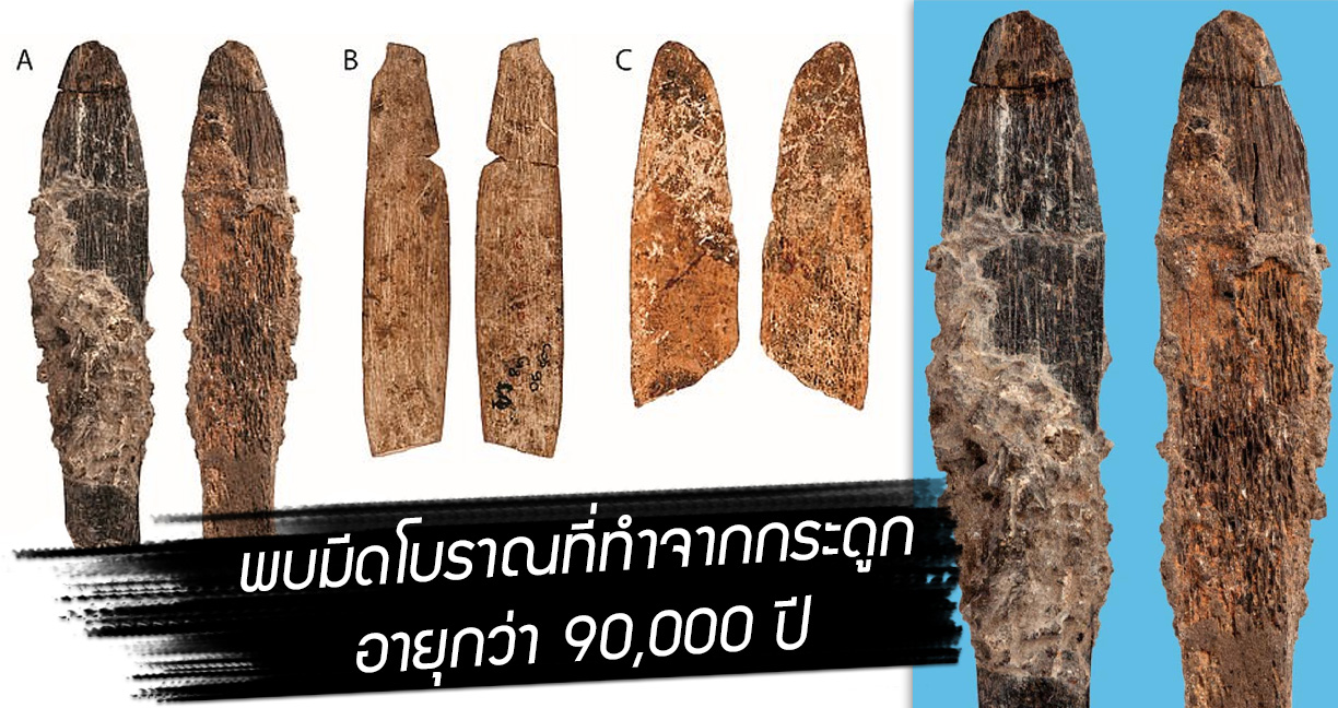 พบมีดโบราณที่ทำจากกระดูก อายุกว่า 90,000 ปี เชื่อเก่าแก่ที่สุดในวัฒนธรรมแบบอะทีเรียน