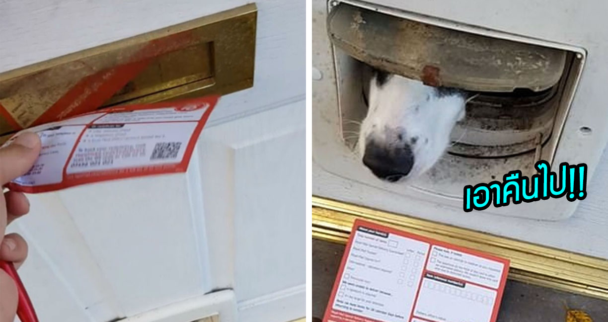 บุรุษไปรษณีย์โดนกวน ส่งจดหมายเข้าไปในบ้านแล้วน้องหมาส่งคืน ไม่ได้ไปสักที