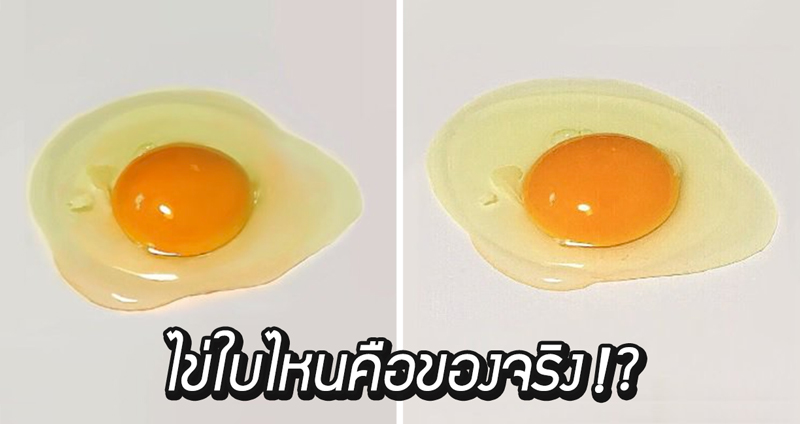 เมื่อมีไข่อยู่ 2 ใบ ใบหนึ่งเป็นของจริง อีกใบหนึ่งเป็น ‘ภาพวาด’ คุณจะรู้ไหมใบไหนคือของจริง!?