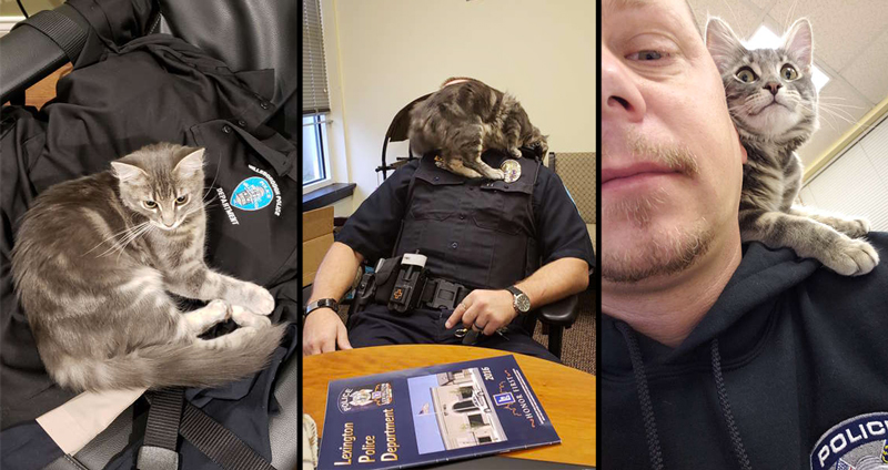 ตำรวจช่วยแมวจากการตกเป็นเหยื่อ และทำให้มันกลายเป็นคู่หูที่คอยสร้างรอยยิ้มให้