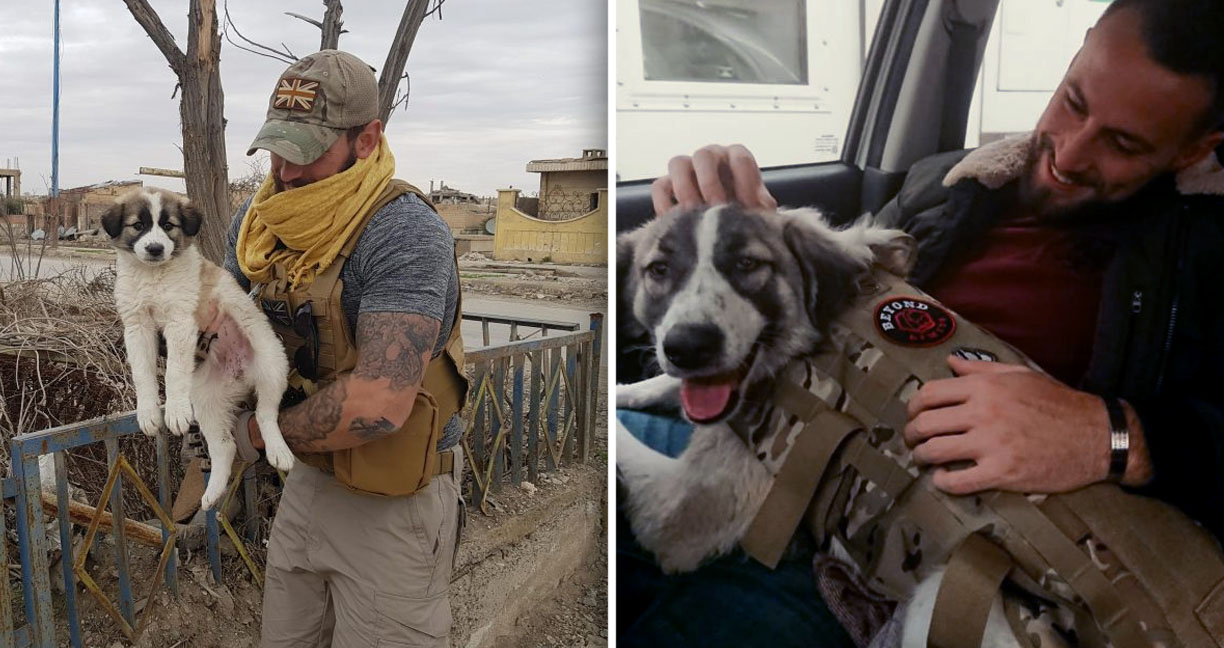 อดีตทหารหนุ่มได้กลับมาอยู่ร่วมกันกับหมา ที่เขาช่วยชีวิตเอาไว้ตอนประจำการ