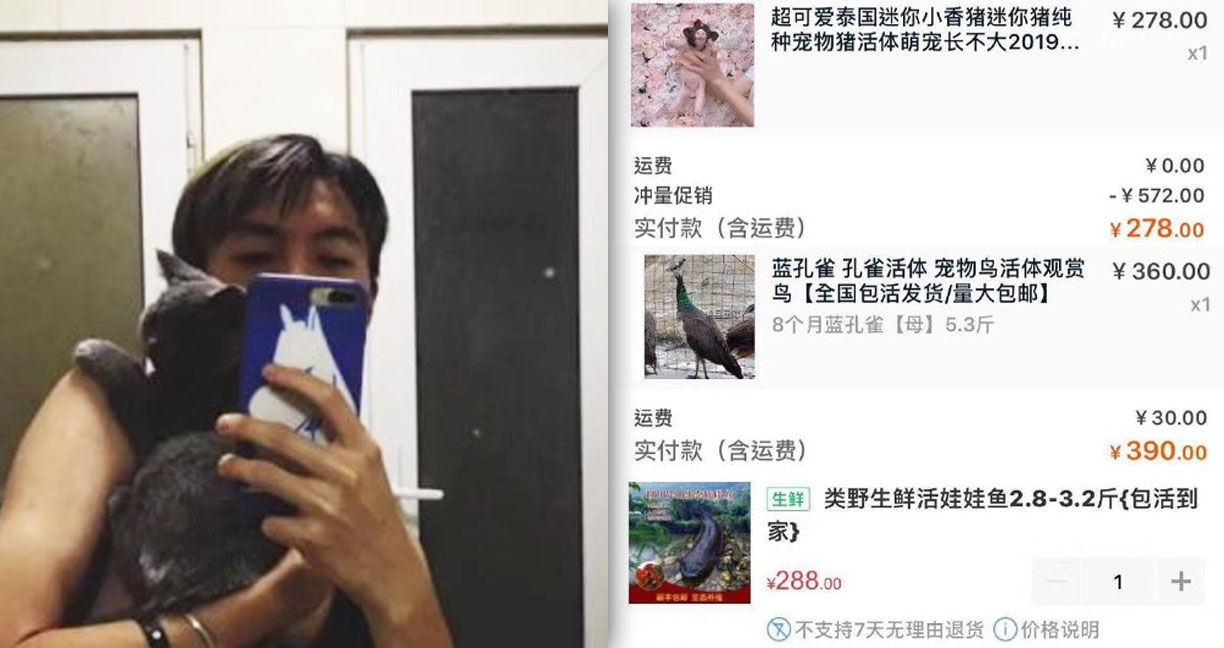 หนุ่ม ‘เมา’ จัด ชอปปิงออนไลน์ในวันคนโสด ซื้อหมูแคระ นกยูง ซาลาแมนเดอร์มาแบบงงๆ