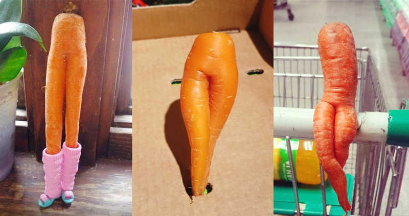 18 ภาพสุดเซ็กซี่ของ ‘แครอท’ ทรงเสน่ห์ แล้วคุณจะรู้ว่าผักสีส้มๆ ก็ทำให้คุณหลงรักได้เหมือนกัน!!