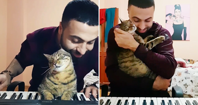 หนุ่มนักดนตรีเป็นทาสแมวด้วย ผู้ติดตามเลยได้ฟังทั้งดนตรี แถมได้ฟินแมวพร้อมๆ กัน