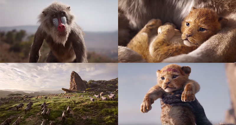 พาชมตัวอย่างหนัง The Lion King เวอร์ชั่น 2019 การกลับมาของการ์ตูนระดับตำนาน!!