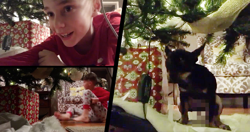 หนุ่มน้อยตั้งกล้องกะถ่ายซานต้า แต่เจอน้องหมาเซอร์ไพรซ์ด้วยของขวัญพิสดารแทน