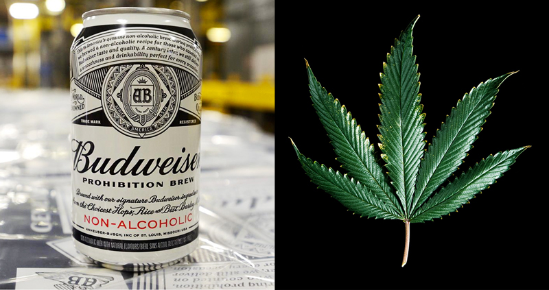 Budwiser ร่วมมือกับบริษัทกัญชา ลงทุนวิจัยเพื่อผลิต ‘เครื่องดื่ม’ โดยใช้สาร THC!!