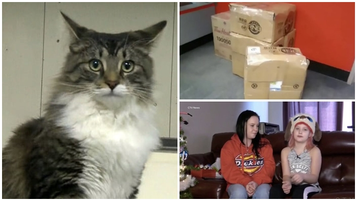 เจ้าแมวจอมซน แอบปีนเข้าไปในกล่องพัสดุ โดนส่งตัวไปไกลกว่า 1,000 กิโล