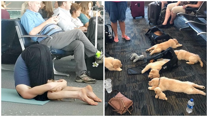 นี่คือ 17 ภาพของสิ่งที่คุณอาจจะเจอได้ในสนามบิน อย่างนี้มันแปลกแหวกไปรึเปล่านะ!?