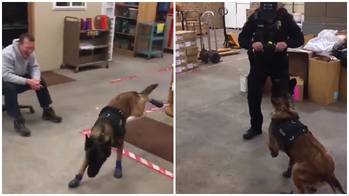 น่ารักมาก ตำรวจช่วยหาถุงเท้ากันหนาวมาใส่ให้เจ้าหมา แล้วช่วยมันทำความคุ้นชิน
