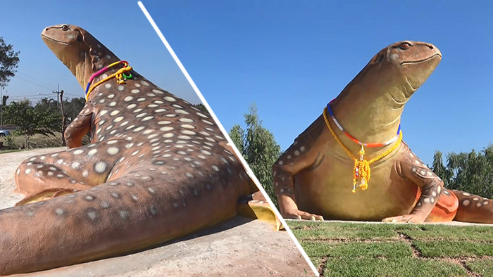 ยโสธรเปิดตัวแลนด์มาร์กแห่งใหม่ “รูปปั้นตัวแย้ยักษ์” สูง 3 เมตรและยาวถึง 18 เมตร