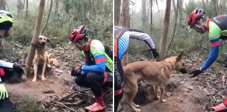 สุนัขถูกมัดติดกับต้นไม้ในป่า โชดดีนักปั่นผ่านมาเห็น เลยช่วยเอาไว้ได้ทันเวลา