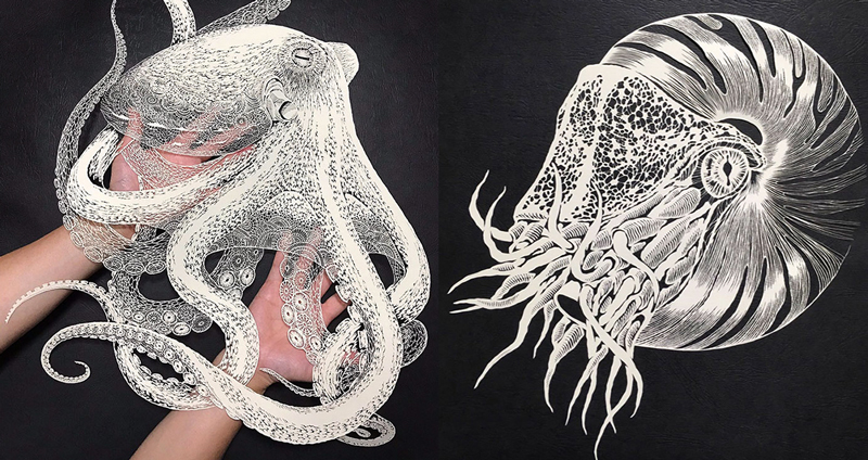 ศิลปินชาวญี่ปุ่น ผู้เปลี่ยนให้ ‘กระดาษ A2 แผ่นเดียว’ กลายเป็น ‘หมึกยักษ์’ ที่ดูมีชีวิต!!