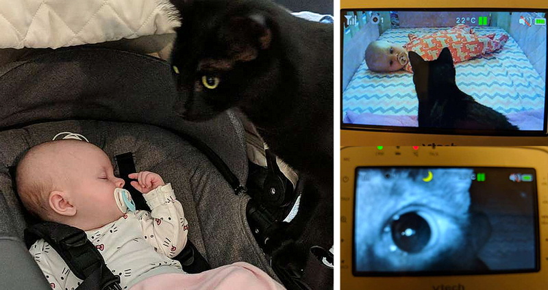 คุณแม่ติดกล้องวงจรปิดในห้องทารก จึงเห็นว่าเจ้าแมวรักน้องสาวคนใหม่มว๊ากกก