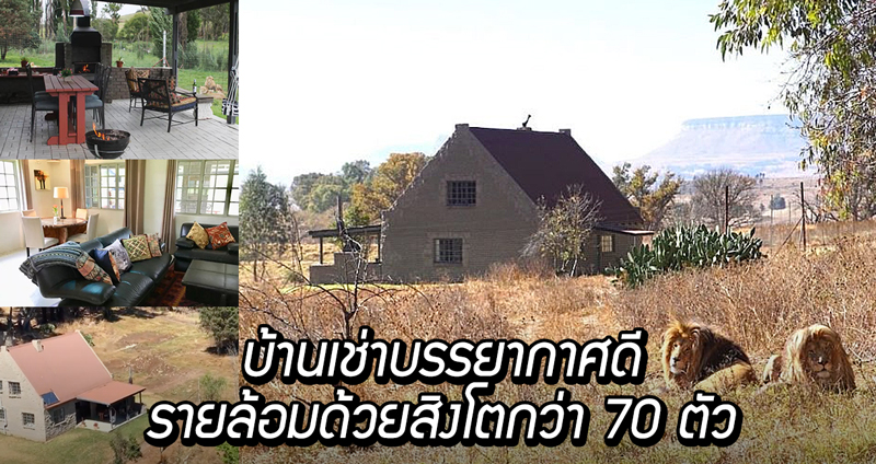 บ้านพักใจกลาง “เขตอนุรักษ์พันธุ์สัตว์ป่า” รายล้อมด้วย “สิงโต” กว่า 77 ตัว ไม่ต้องกลัวเหงา