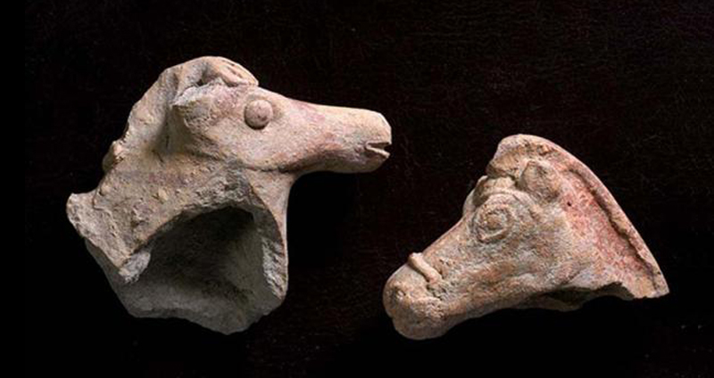 อิสราเอลพบ หัวม้าดินเหนียวสองชิ้น อายุกว่า 2,000 ปีโดยบังเอิญ หลังฝนตกหนักในประเทศ