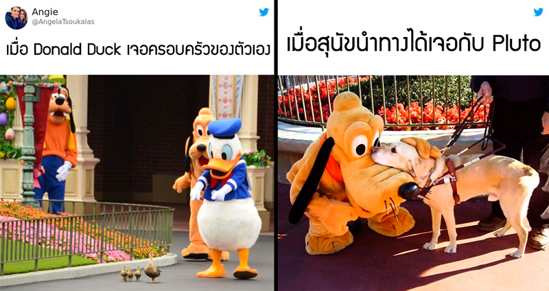 14 ภาพเหตุการณ์สุดน่ารัก ที่ทำให้รู้ว่า Disneyland คือสถานที่มหัศจรรย์จริงๆ