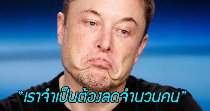 เปิดบทสัมภาษณ์ Elon Musk หลัง Tesla ลดพนักงานครั้งใหญ่ 7% มูลค่าบริษัทลด 260,000 ล้าน