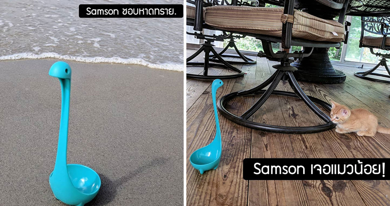 เจ้า ‘ทัพพี’ Samson มีไอจีเป็นของตัวเองแล้ว ไปติดตามเรื่องราวน่ารักๆ ของมันได้เลย!!