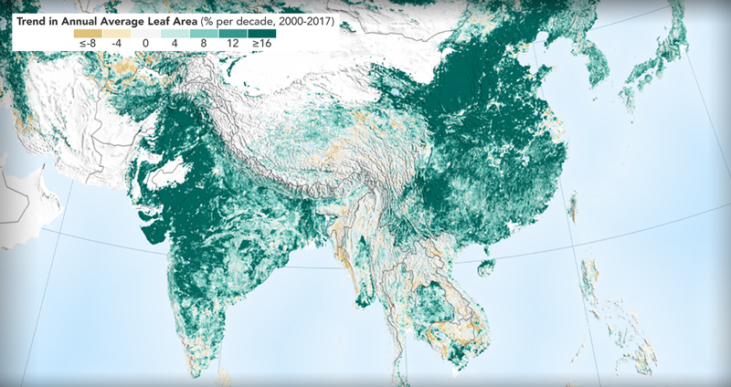 เผยผลการศึกษา จีน-อินเดีย มีพื้นที่สีเขียวเพิ่มขึ้นสูงสุดในรอบ 20 ปี!!